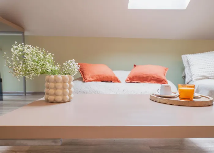 Napoca * Cluj-Napoca